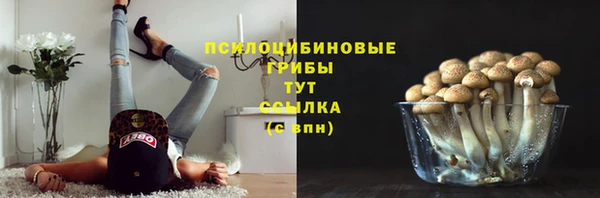 амф Абдулино