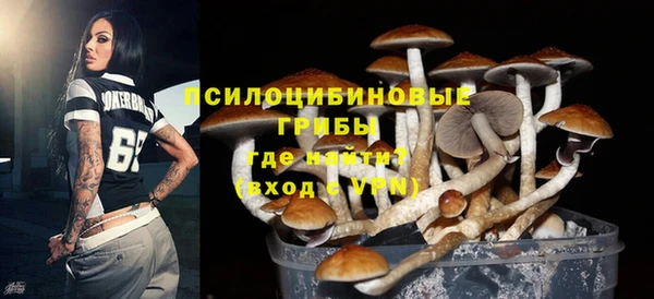 тгк Абинск